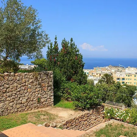 Panorama *